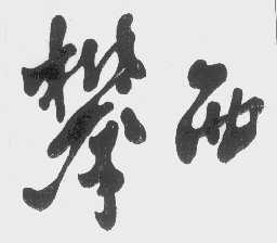 攀西