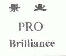 景业;PRO BRILLIANCE