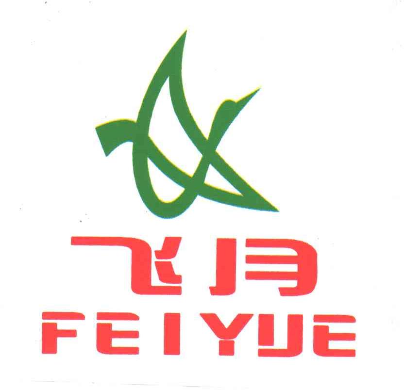 飞月