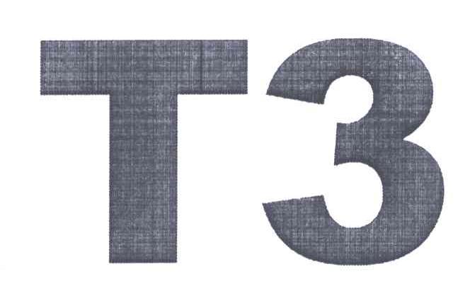 T;3