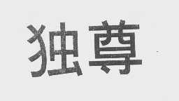 独尊