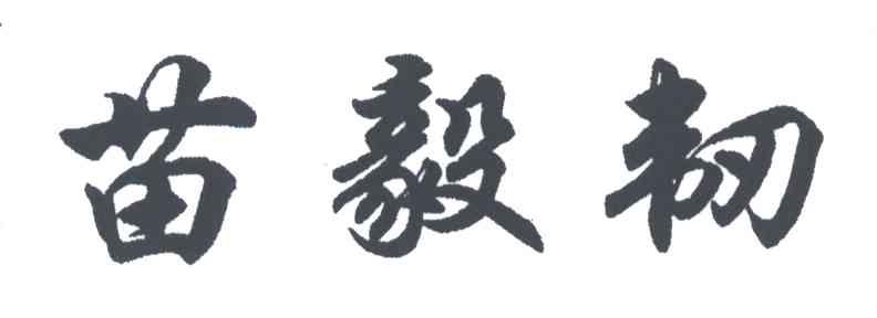 苗毅韧