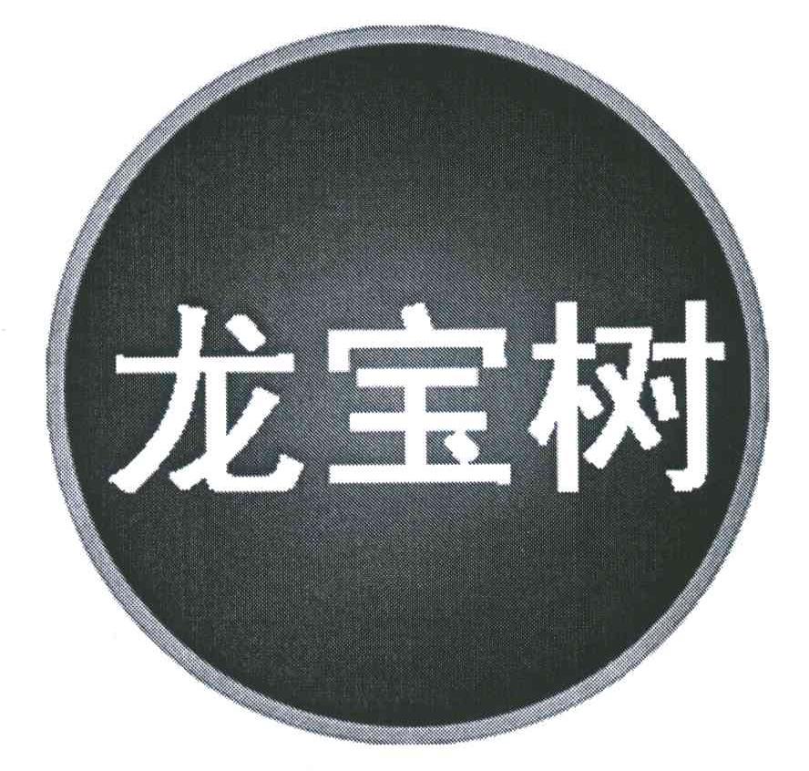 龙宝树