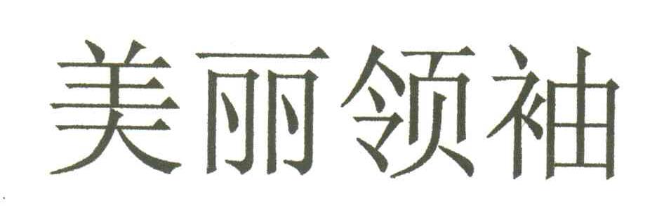 美丽领袖