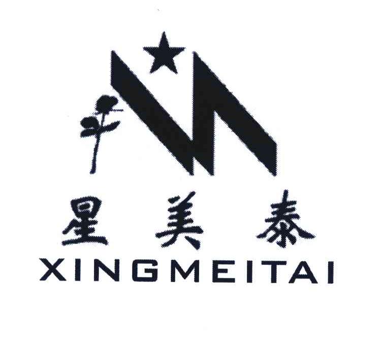 星美泰