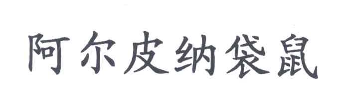 阿尔皮纳袋鼠