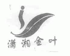 潇湘金叶