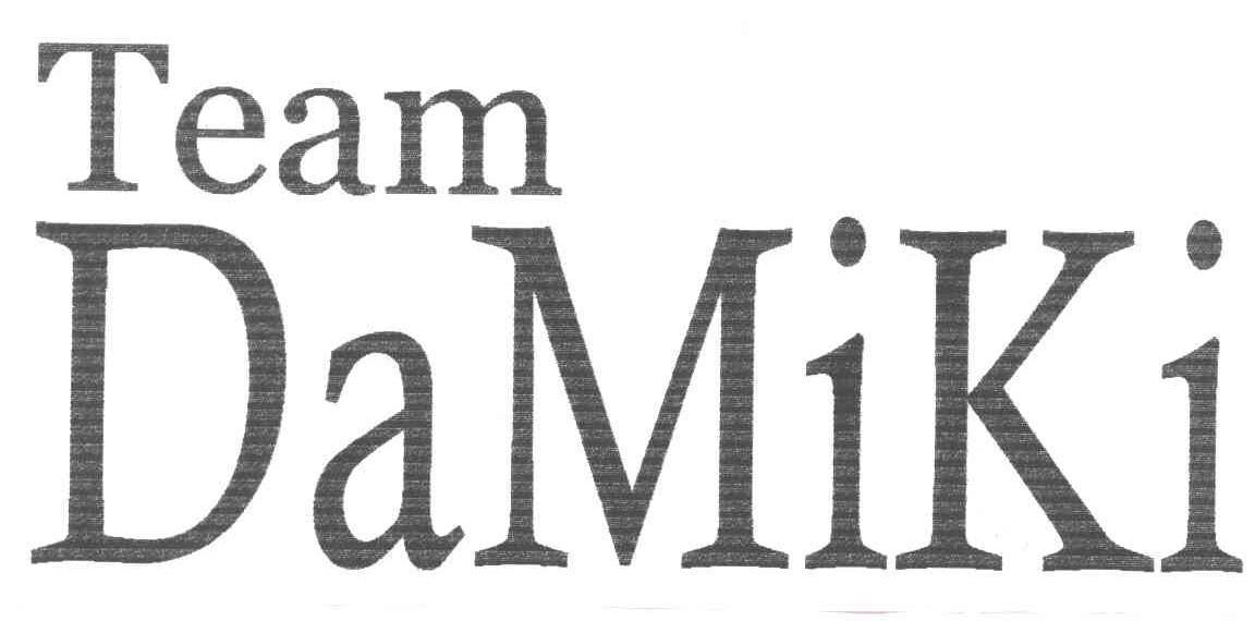 TEAM DAMIKI