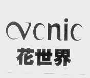 花世界   VCNIC