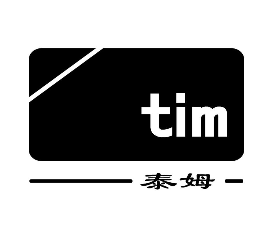 泰姆 TIM