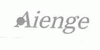 AIENGE