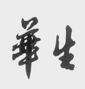 华生