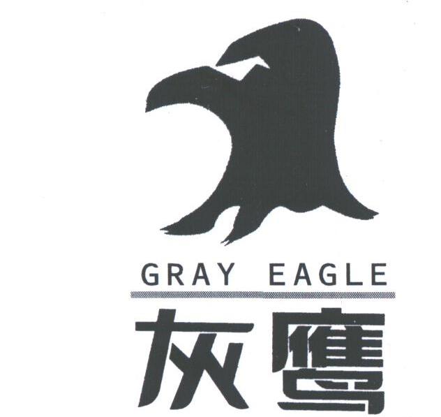 灰鹰;GRAY EAGLE