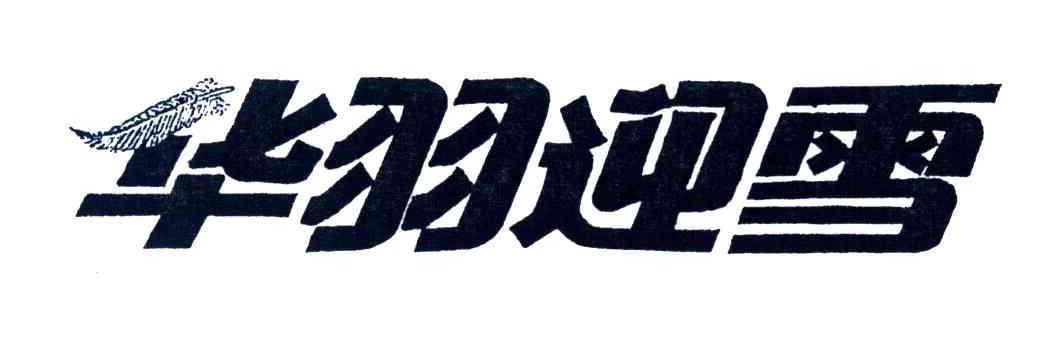华羽迎雪