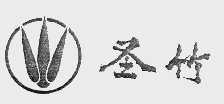 圣竹