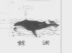 鲸澜