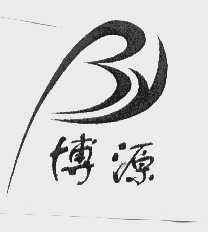 博源