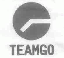 TEAMGO