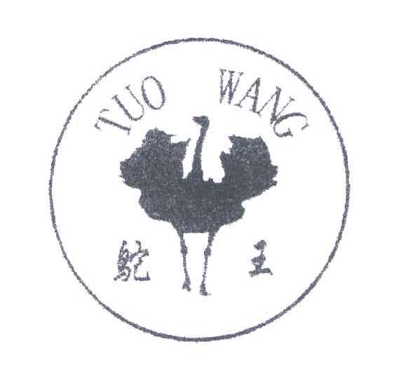 鸵王