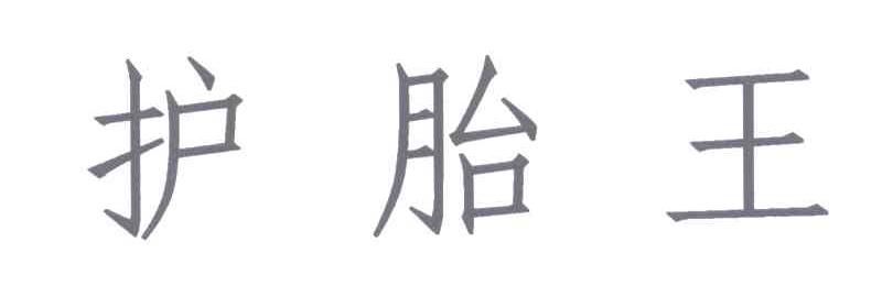 护胎王