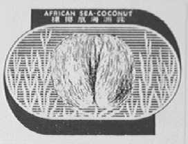 非洲海底椰子    AFRICAN SEA-COCONUT