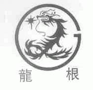 龙根