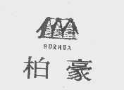 柏豪   BURHUA