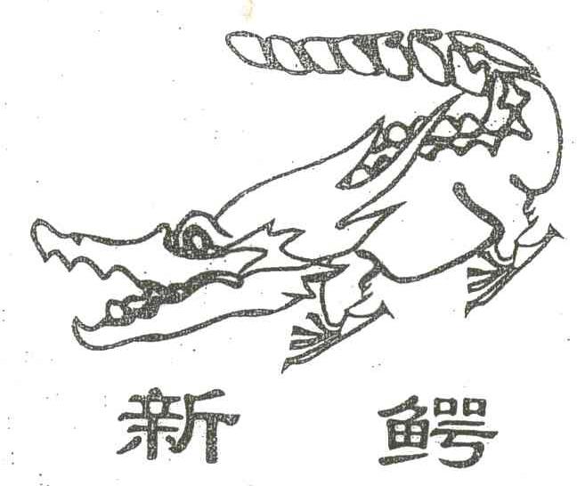 新鳄