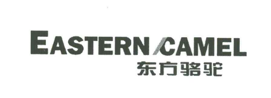 EASTERN CAMEL;东方骆驼