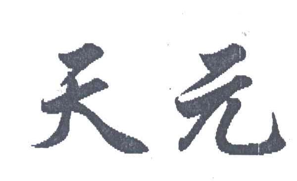 天元