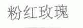 粉红玫瑰