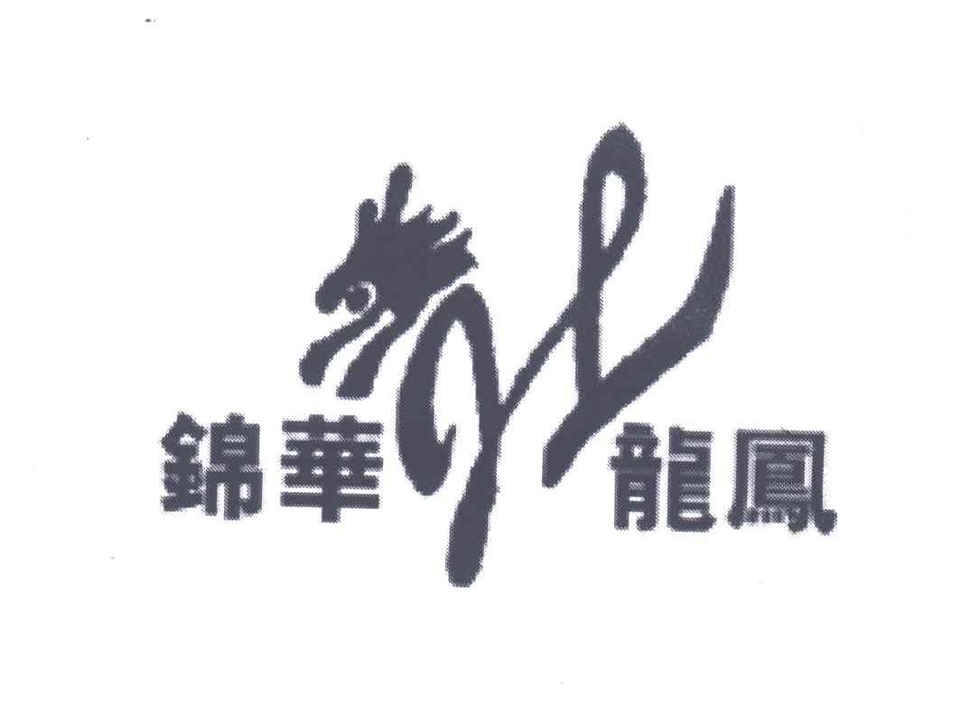 锦华龙风