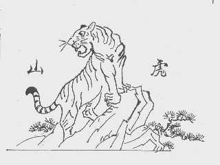 山虎