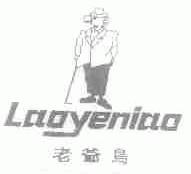 老爷鸟