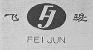 飞骏