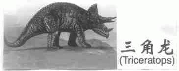 三角龙;TRICERATOPS