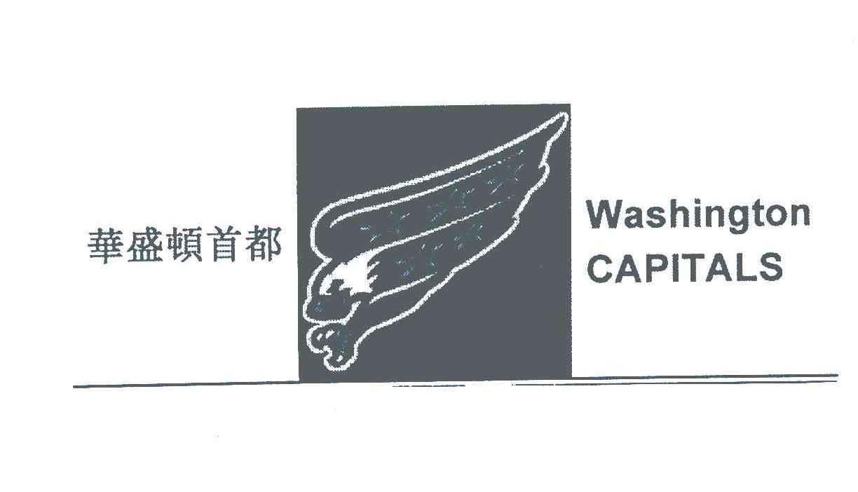 华盛顿首都;WASHINGTON CAPITALS