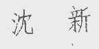 沈新