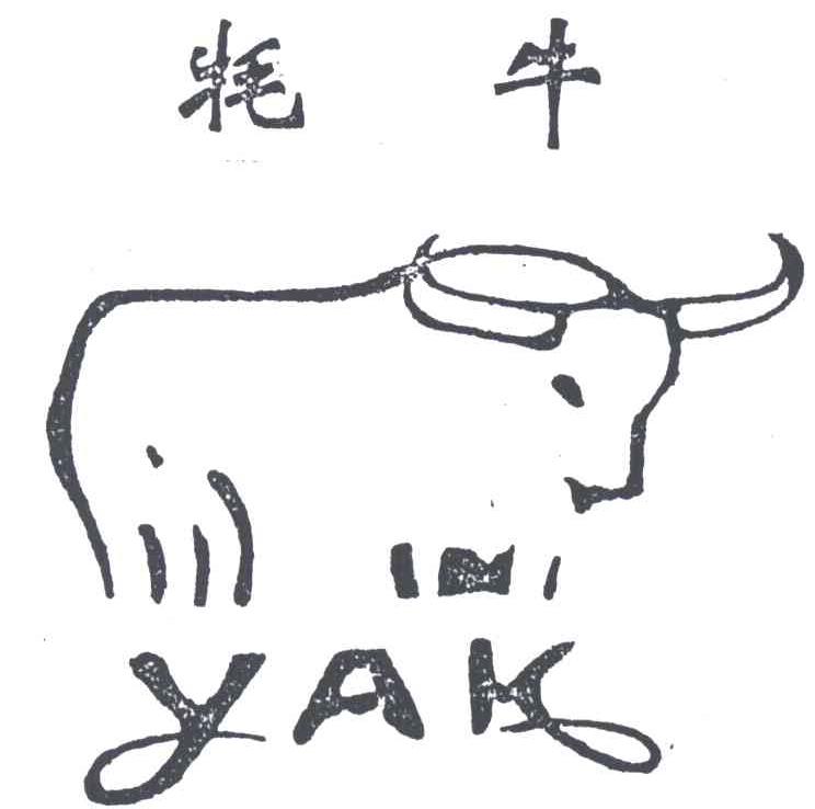 牦牛YAK