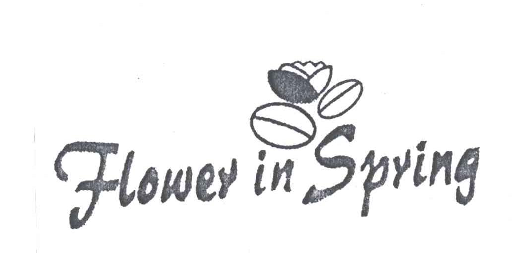FLOWER IN SPRING