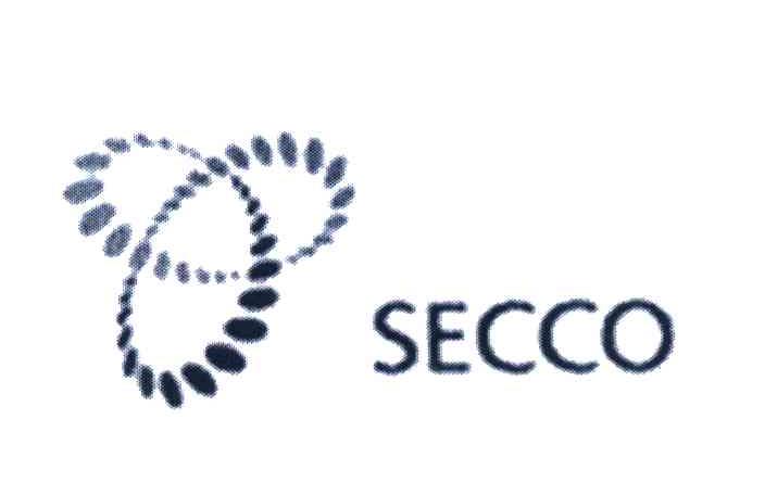 SECCO   干壁绘画法