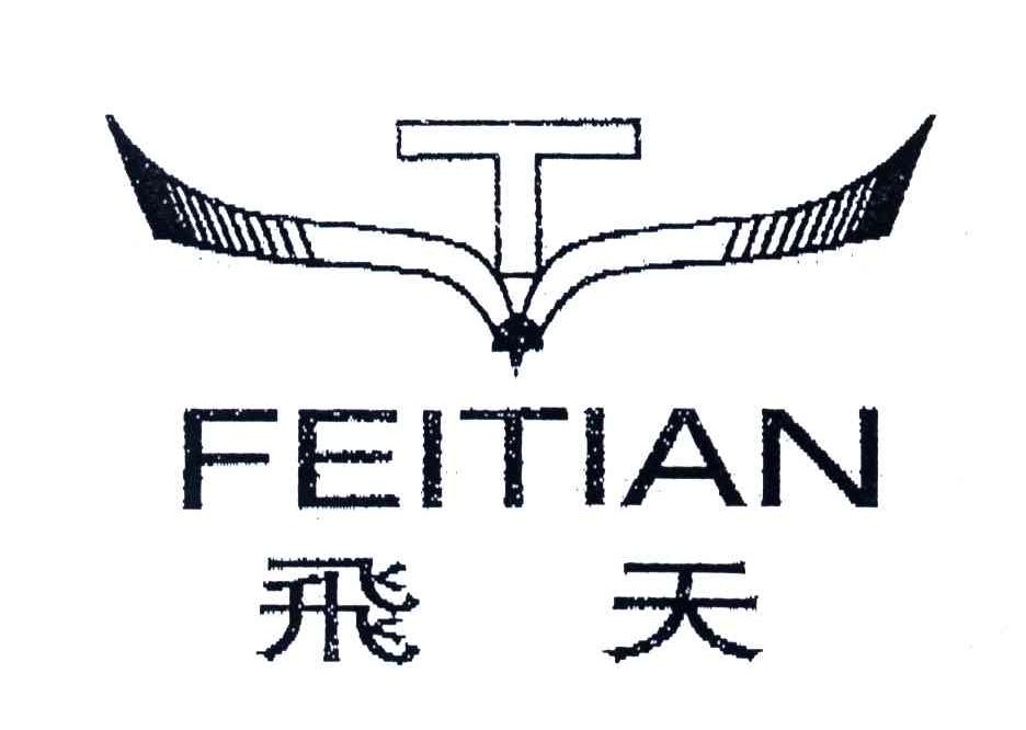 飞天;T