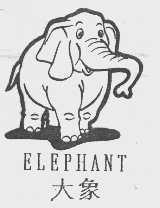 大象   ELEPHANT