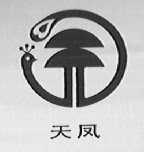 天凤