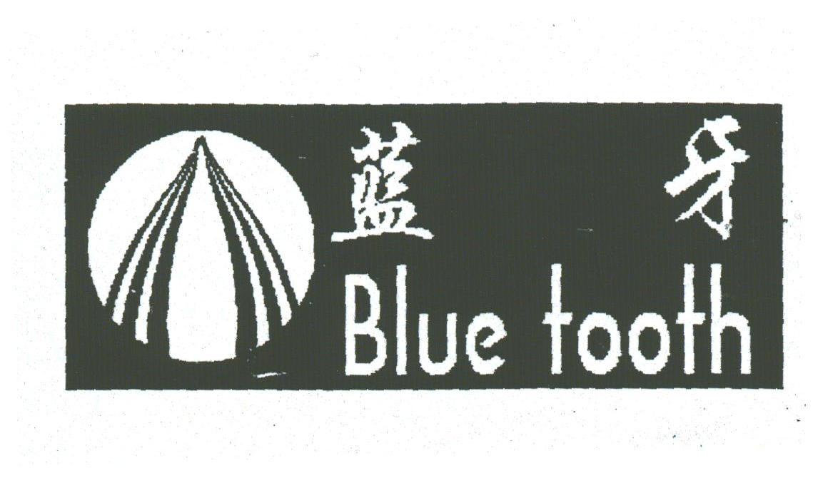 蓝牙;BLUE TOOTH