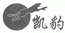 凯豹