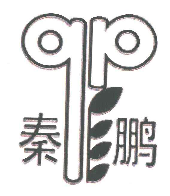 秦鹏;QP