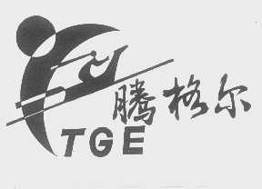 腾格尔   TGE