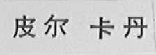 皮尔卡丹