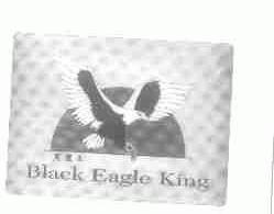 黑鹰王;BLACK EAGLE KING